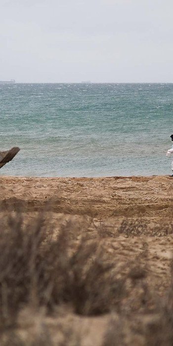 Ликвидация последствия разлива мазута в Черном море