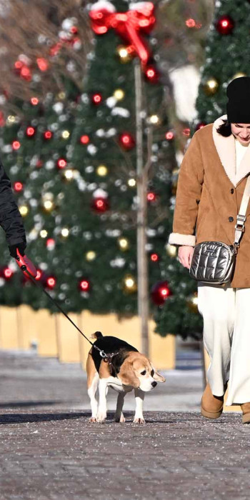 семья с ребенком во время прогулки в зимнем парке