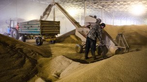 Зерно ржи для помола в зернохранилище