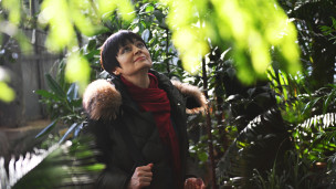 ботанический сад 