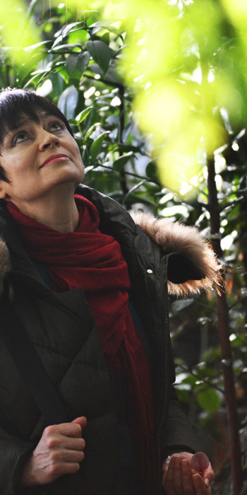 ботанический сад 