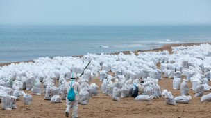  Волонтер во время уборки разлитого мазута на пляже