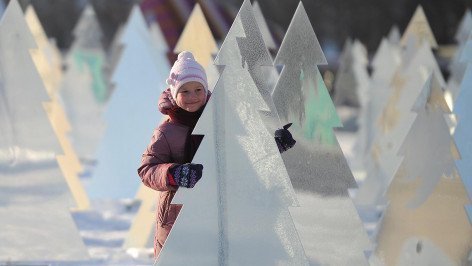 Девочка в парке среди елок 