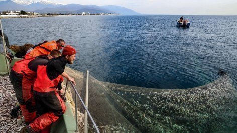 Лов барабульки в Черном море