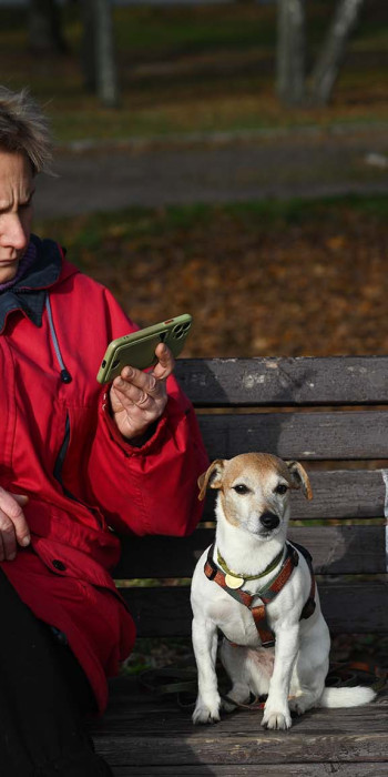 Женщина с собаками сидит на скамейке