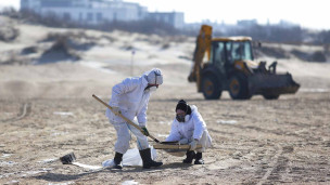 волонтеры очищают песчаный пляж от мазута