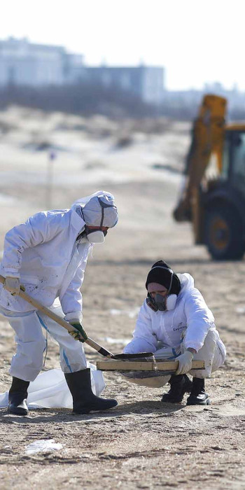 волонтеры очищают песчаный пляж от мазута
