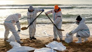 Волонтеры во время уборки разлитого мазута