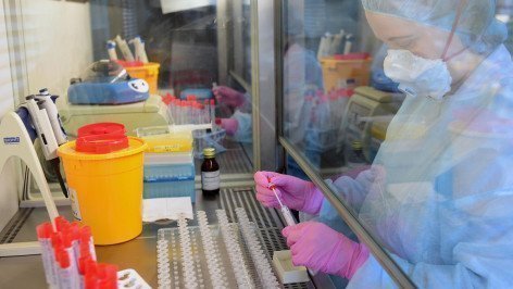 Сотрудник лаборатории во время проверки биоматериала 