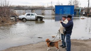 Мужчины с собакой у подтопленных гаражей