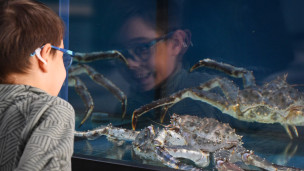 Рыбный рынок