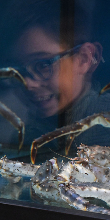 Рыбный рынок