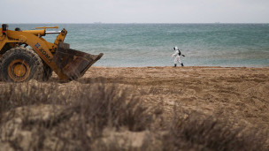 Волонтерский лагерь ликвидирует последствия разлива мазута в Черном море