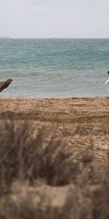 Волонтерский лагерь ликвидирует последствия разлива мазута в Черном море