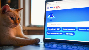 интернет-портал Госуслуг