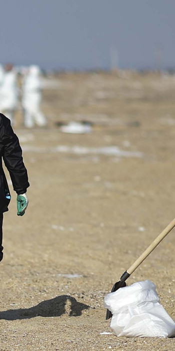 Волонтеры ликвидируют последствия разлива мазута на береговой линии