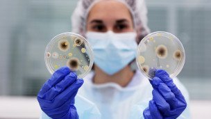 laboratornye-issledovaniya-v-chashke-petri