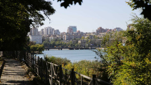 Виды донецка