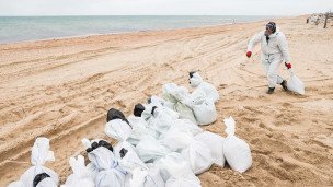 Волонтер во время уборки разлитого мазута
