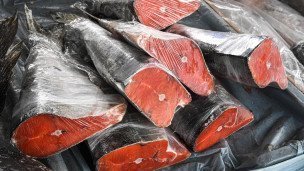 продовольственная ярмарка