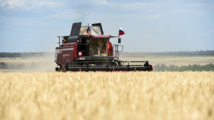 Уборка урожая пшеницы