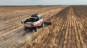  Уборка урожая подсолнечника 