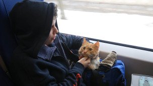 Пассажир в пригородном поезде с кошкой в переноске