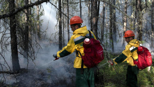 Тушение лесных пожаров 