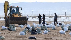 Волонтеры во время сбора разлитого мазута
