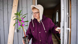 пенсионерка на даче