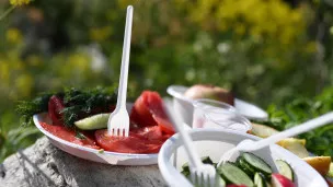  Дело вкуса: в чем польза и вред разгрузочных дней