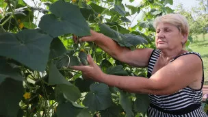  Правила соток: за что могут изъять земельный участок в 2025 году