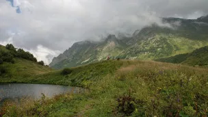  Дорогою бобра: чем интересны и полезны природоохранные территории